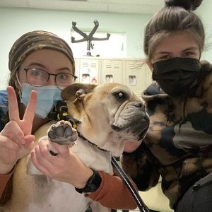 Meet your Posher, Victoria